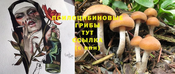 мескалин Протвино