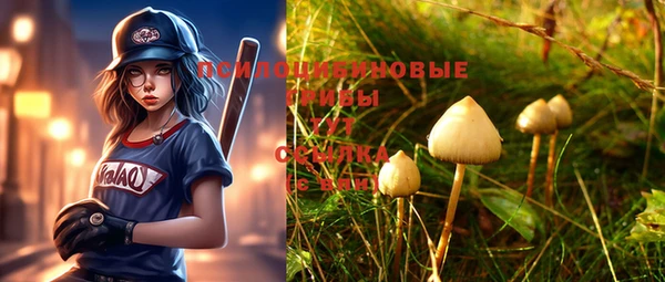 не бодяженный Волоколамск
