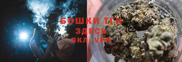шишки Приозерск