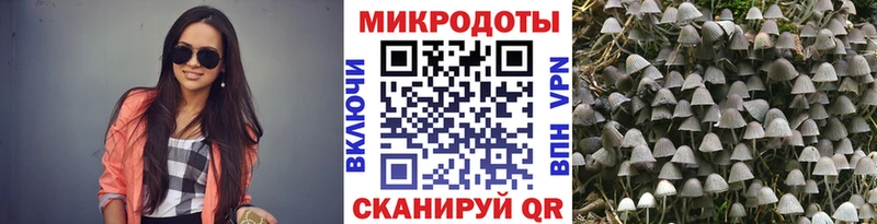 купить цена Бор Псилоцибиновые грибы Magic Shrooms